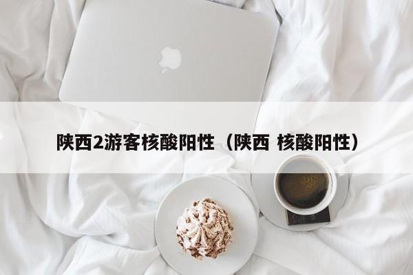 陕西2游客核酸阳性（陕西 核酸阳性）