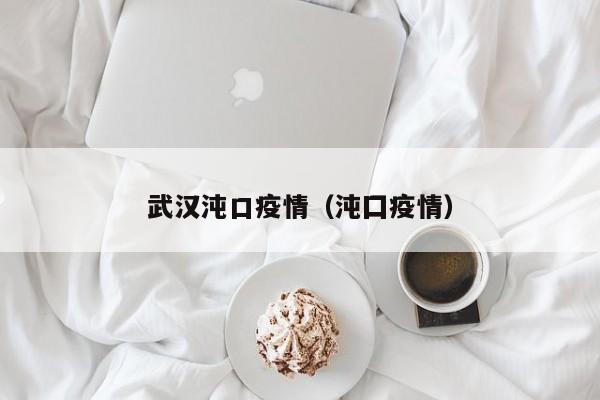 武汉沌口疫情（沌囗疫情）