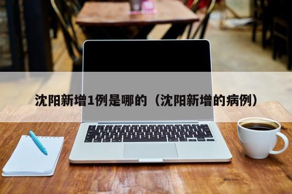 沈阳新增1例是哪的（沈阳新增的病例）