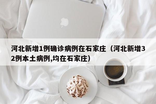 河北新增1例确诊病例在石家庄（河北新增32例本土病例,均在石家庄）