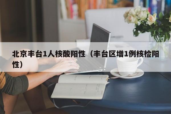 北京丰台1人核酸阳性（丰台区增1例核检阳性）